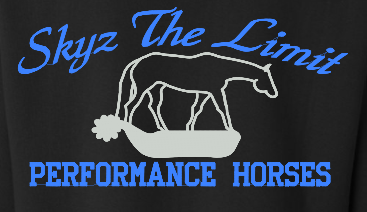 Skyz The Limit Performance Horses